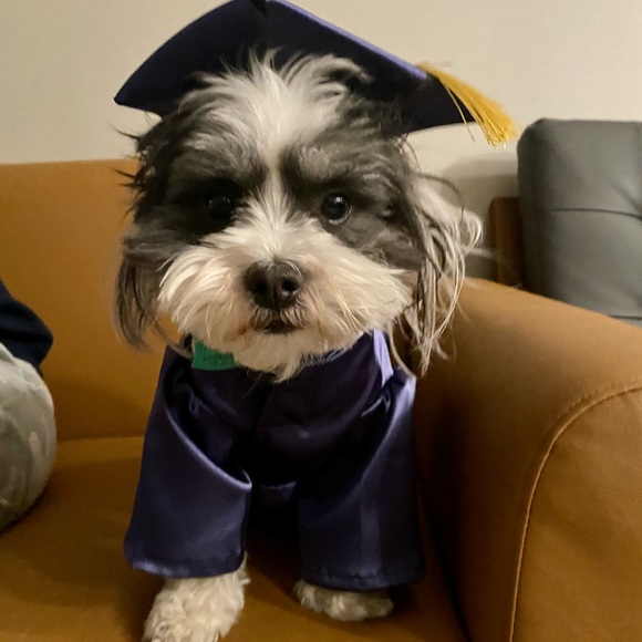 Meet your Posher, Alyson - Picture 6 of 6